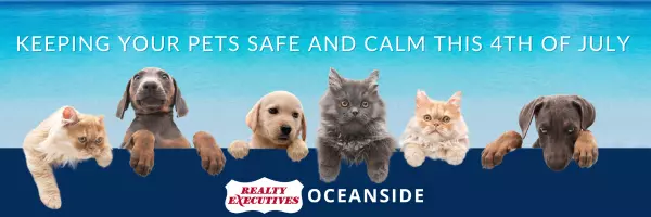 Keeping Your Pets Safe and Calm This 4th of July,Realty Executives Oceanside