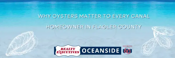 Why Oysters Matter to Every Canal Homeowner in Flagler County