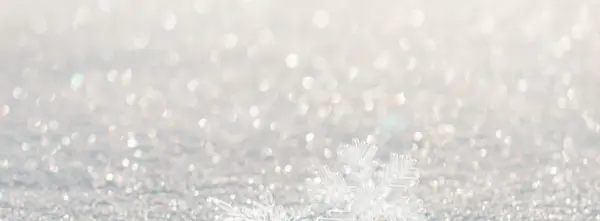 Planning Ahead, Even in a Parka 