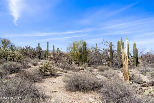 9633 E Giant Cacti Drive #14, Tucson, AZ 85749