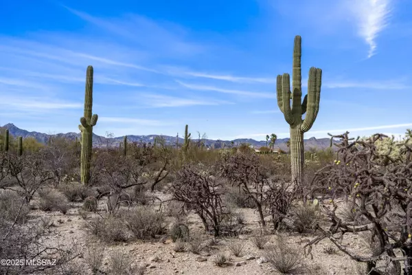 9633 E Giant Cacti Drive #14, Tucson, AZ 85749
