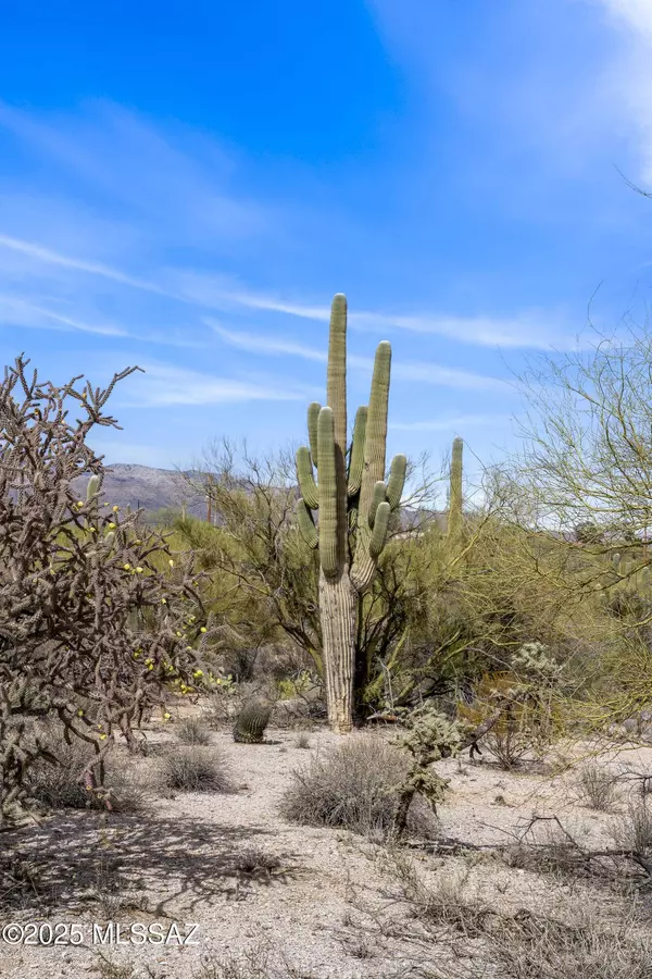 9633 E Giant Cacti Drive #14, Tucson, AZ 85749