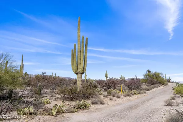 9633 E Giant Cacti Drive #14, Tucson, AZ 85749