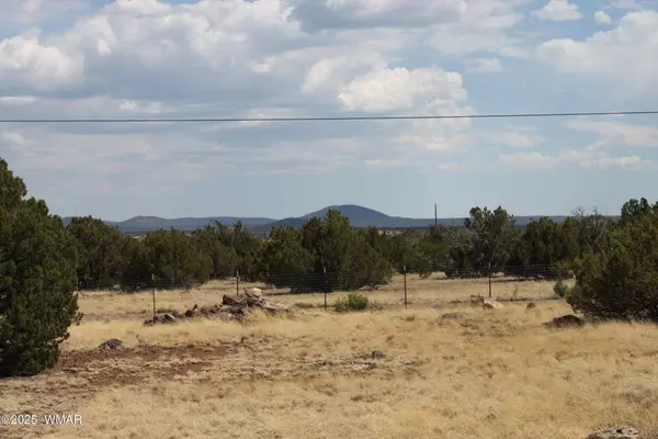 8850 Supancheck Road, Show Low, AZ 85901