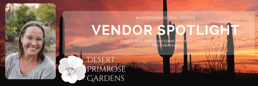Banner image for Mystery House Real Estate’s Vendor Spotlight featuring Desert Primrose Gardens. The design shows a smiling woman with glasses and shoulder-length hair on the left, and a vivid Tucson sunset with silhouettes of saguaros on the right. The text reads “Vendor Spotlight – Check out this awesome vendor I highly recommend!” with the Desert Primrose Gardens logo, which includes a white primrose flower illustration.