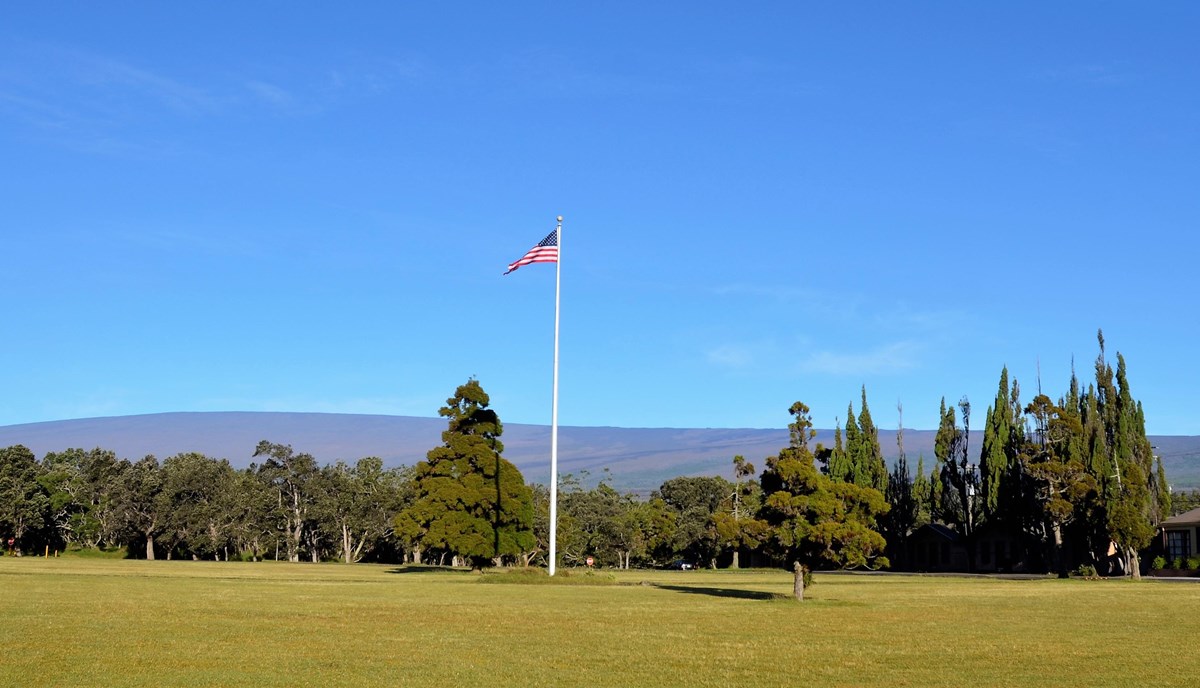 Veterans Day fee-free day at Saguaro National Park