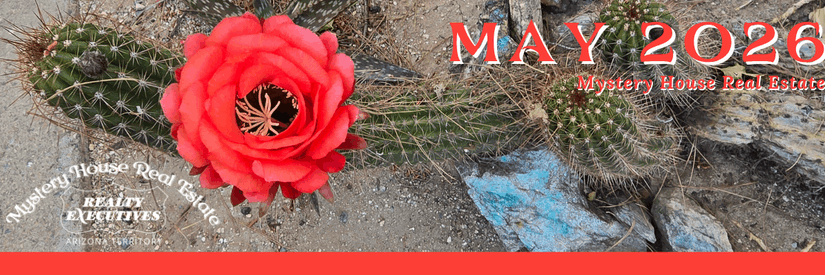 May 2026 email and newsletter header for Mystery House Real Estate. A large red-orange torch cactus flower blooms prominently in the center against a backdrop of cholla cactus and Tucson desert terrain. The Mystery House Real Estate logo appears in the lower left along with the Realty Executives Arizona Territory affiliation. The header is bordered by a coral red banner.