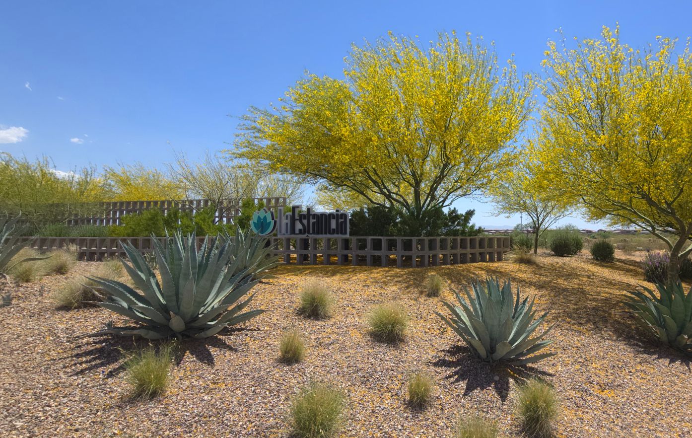 La Estancia de Tucson community entrance sign surrounded by blooming yellow palo verde trees, agave plants, and desert landscaping