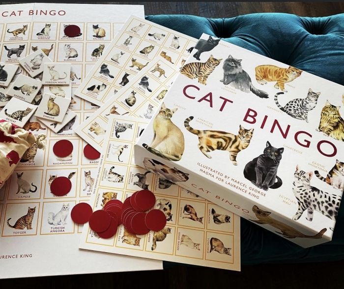 Cat Bingo Night at El Jefe Cat Lounge