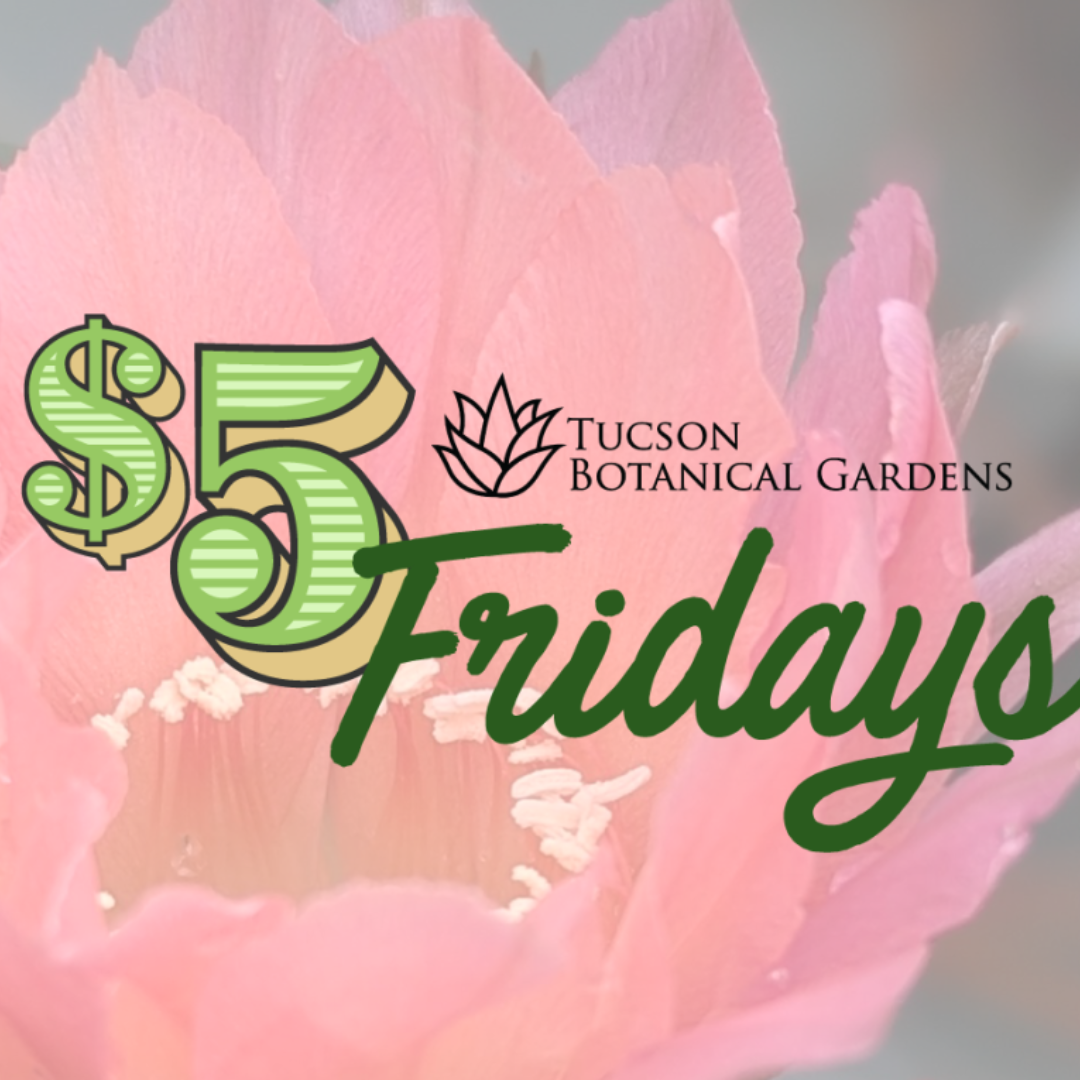 Tucson Botanical Gardens $5 Fridays