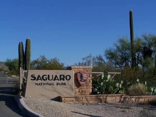 National Public Lands Day at Saguaro National Park