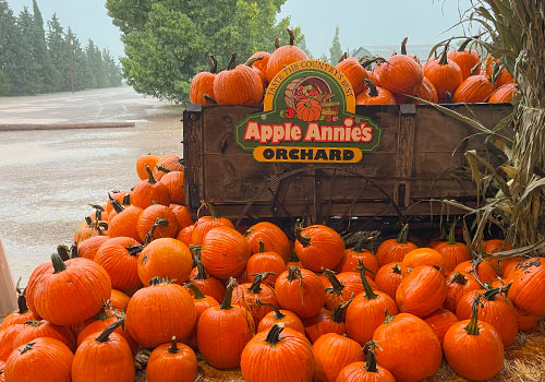 Apple Annie's Fall Pumpkin Celebration in Willcox