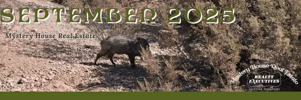 11 Reasons You Need a Will & Tucson Market Check-In: September