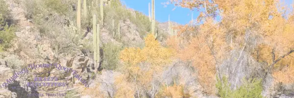 feature image of What to Do in Tucson This September 2026 | Jennifer Winchester