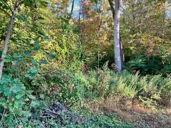 9 Old Woodland Trl, Jefferson Twp., NJ 07438