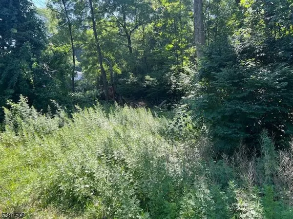 9 Old Woodland Trl, Jefferson Twp., NJ 07438