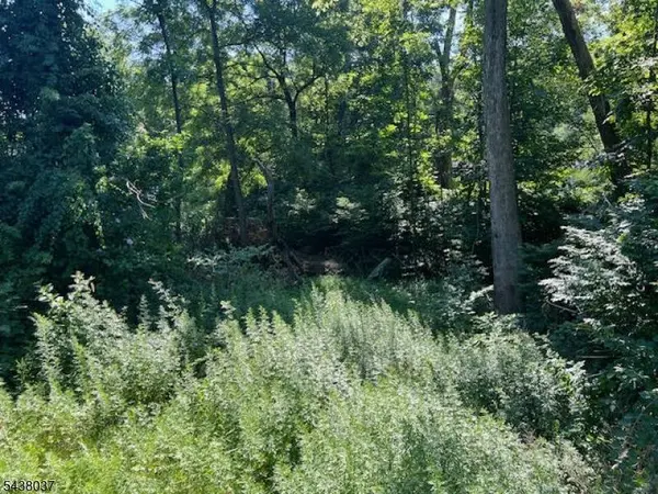 9 Old Woodland Trl, Jefferson Twp., NJ 07438