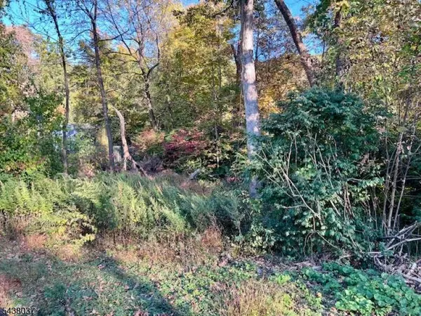 9 Old Woodland Trl, Jefferson Twp., NJ 07438