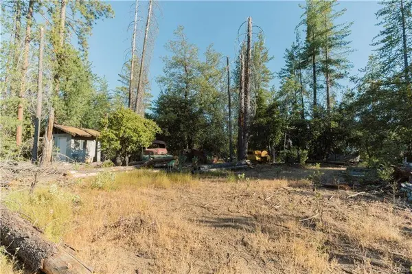 10902 Stout Lane, Coulterville, CA 95311