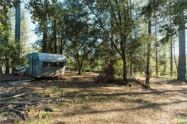10902 Stout Lane, Coulterville, CA 95311
