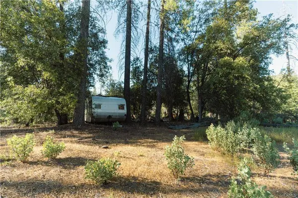 10902 Stout Lane, Coulterville, CA 95311