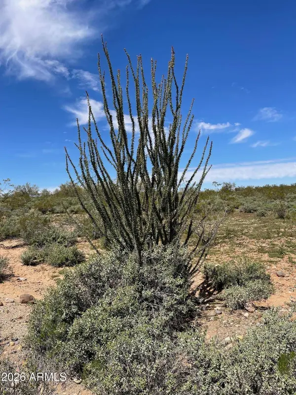 875 E MONTE VISTA Trail #9, Wickenburg, AZ 85390