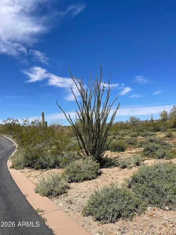 875 E MONTE VISTA Trail #9, Wickenburg, AZ 85390