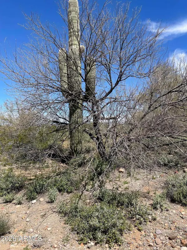 875 E MONTE VISTA Trail #9, Wickenburg, AZ 85390