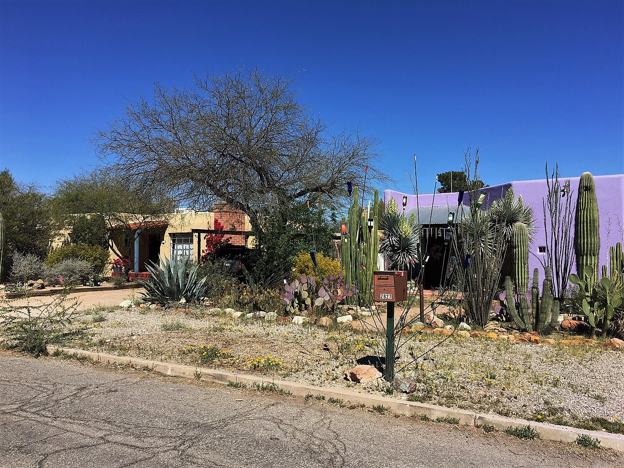 Blenman-Elm, Tucson AZ