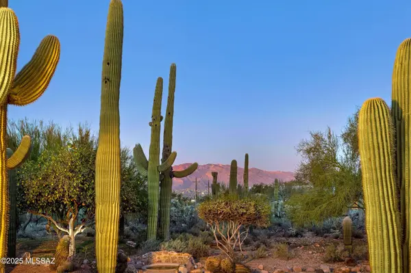 2614 N Grannen Rd, Tucson, AZ 85745