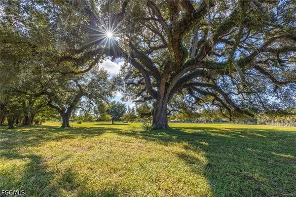 3251 Bateman RD, Alva, FL 33920