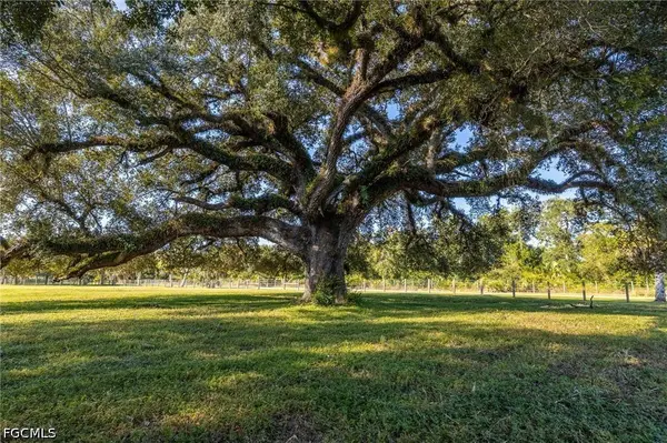3251 Bateman RD, Alva, FL 33920