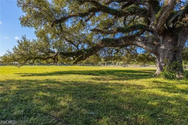 3251 Bateman RD, Alva, FL 33920