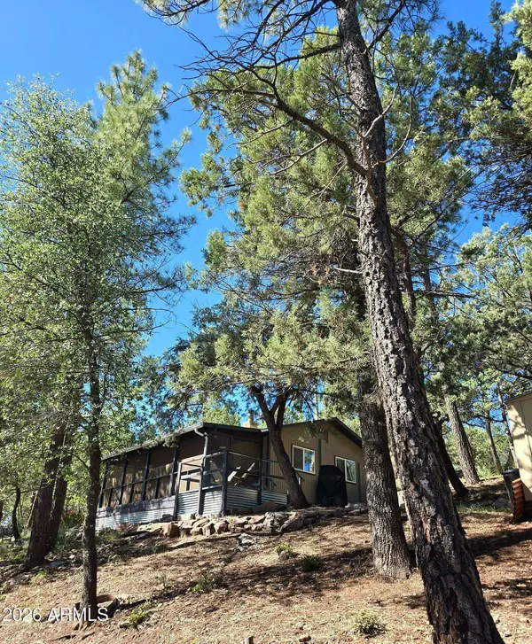 3483 N HILLSIDE Road, Pine, AZ 85544