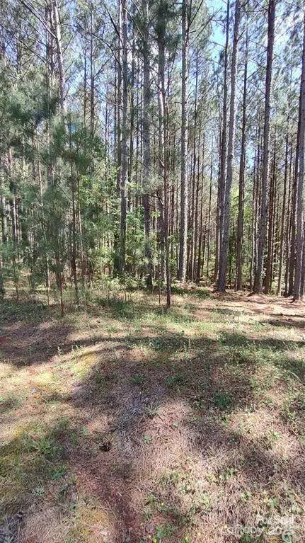 105 Cranberry LN #80, Mooresboro, NC 28114