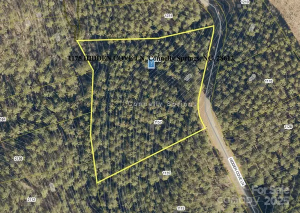 1175 Hidden Cove LN, Connelly Springs, NC 28612