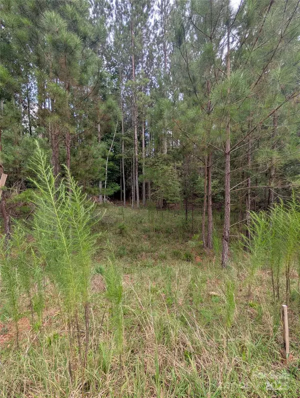 116 Cranberry LN, Mooresboro, NC 28114