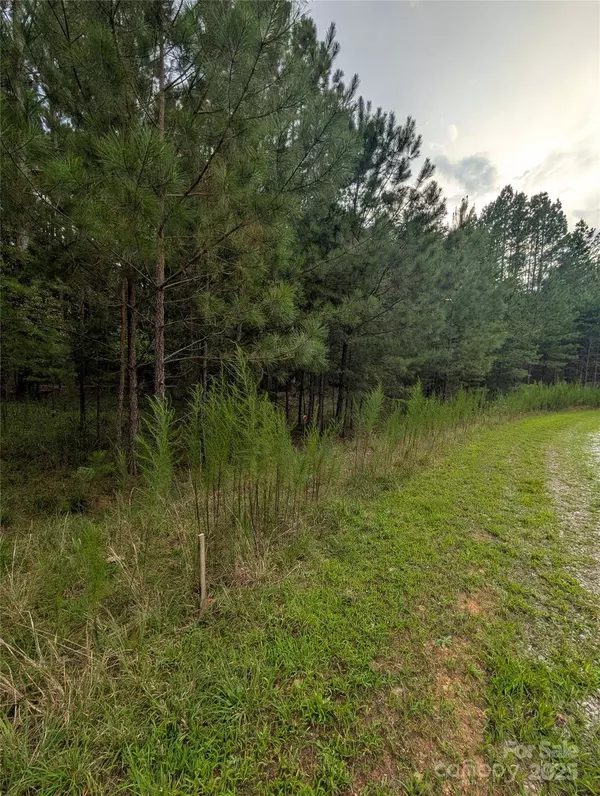 116 Cranberry LN, Mooresboro, NC 28114