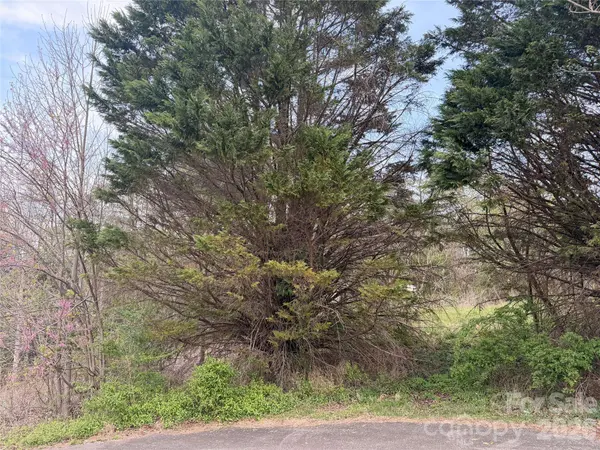 7557 Cowtail LN, Connelly Springs, NC 28612