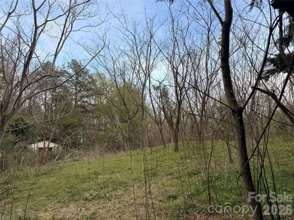 7557 Cowtail LN, Connelly Springs, NC 28612