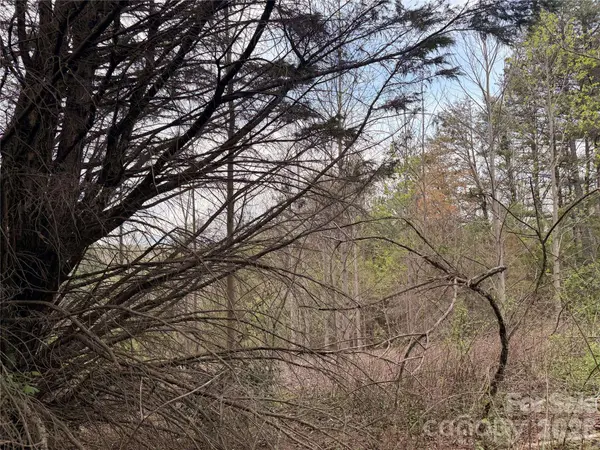 7557 Cowtail LN, Connelly Springs, NC 28612