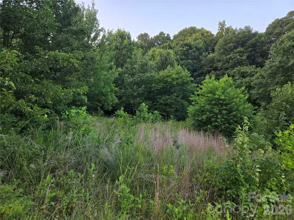 0 Stable Brook LN #15, Taylorsville, NC 28681