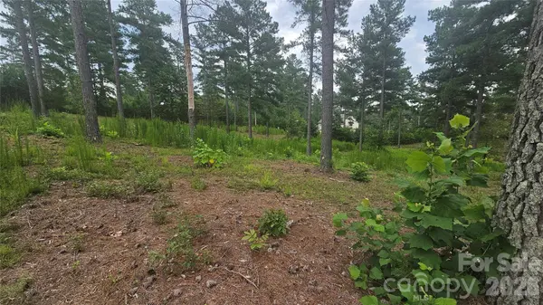 1884 Coveside DR, Granite Falls, NC 28630