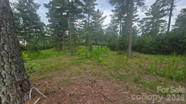 1884 Coveside DR, Granite Falls, NC 28630