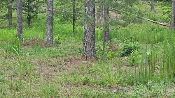 1884 Coveside DR, Granite Falls, NC 28630