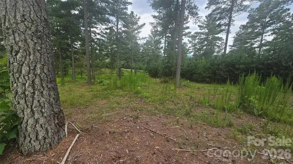 1884 Coveside DR, Granite Falls, NC 28630