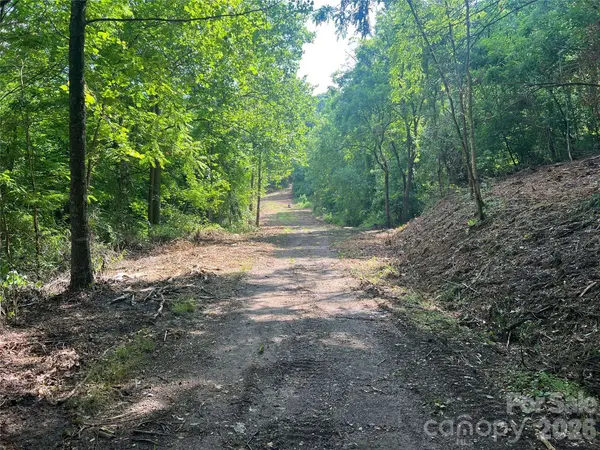 000 Compromise DR, Waynesville, NC 28785