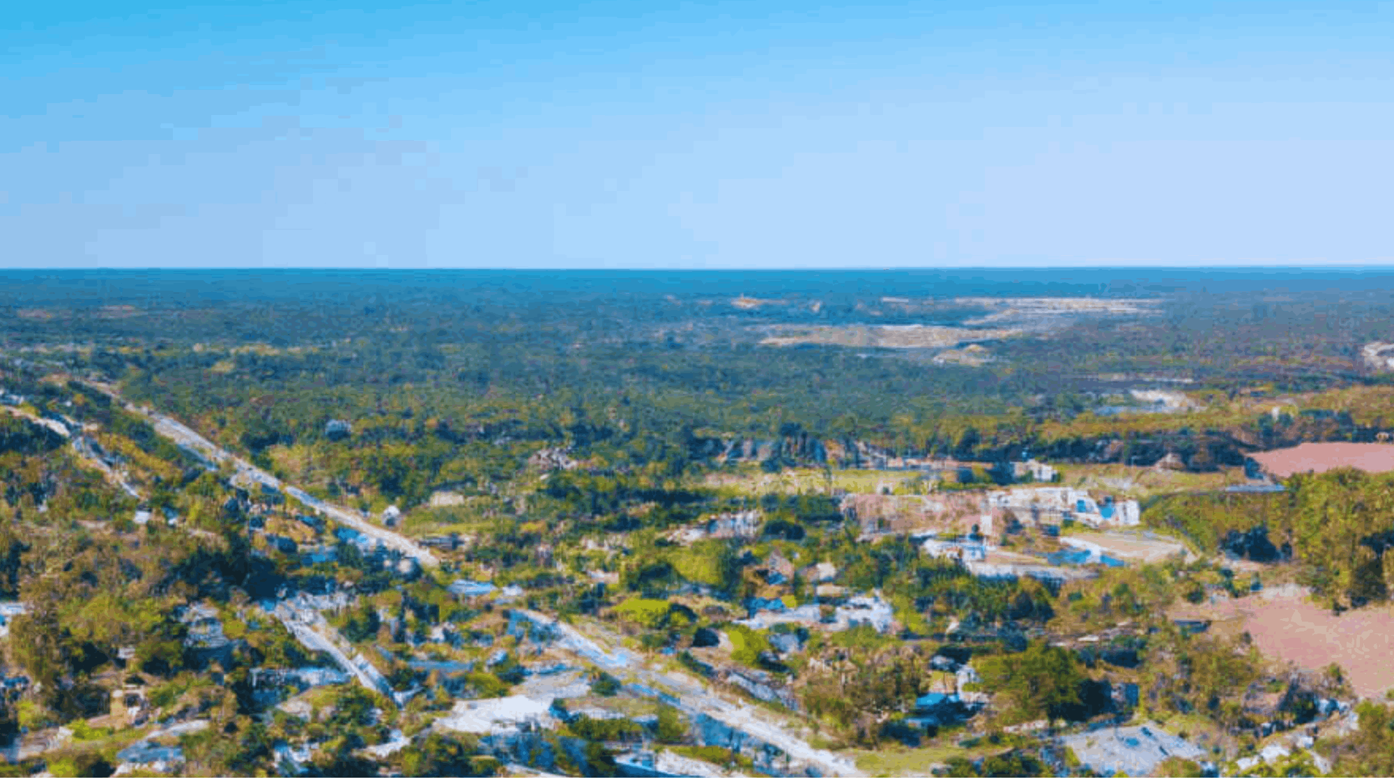 tzedi-co-south-carolina-realty