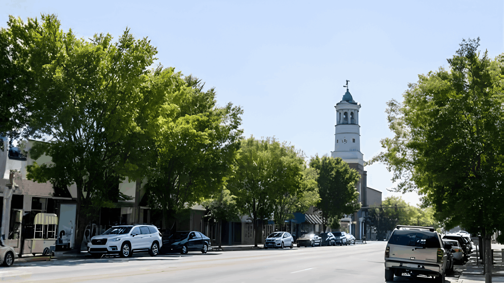 tzedi-co-south-carolina-realty