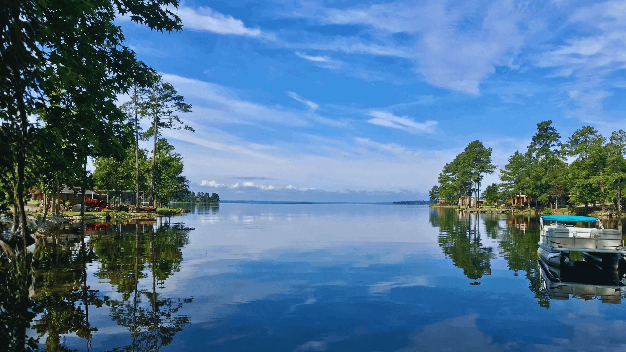 tzedi-co-south-carolina-realty
